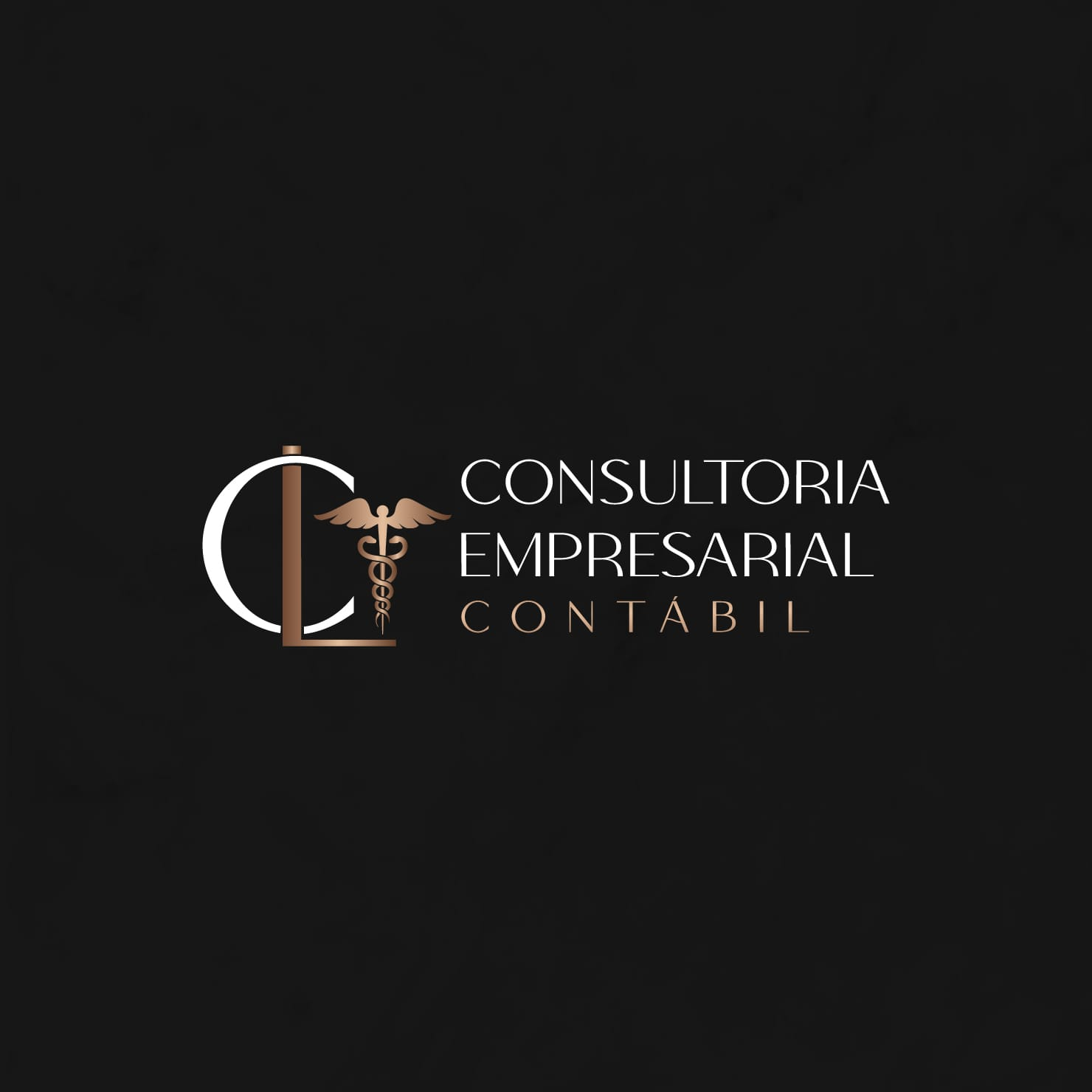 CL Consultoria Empresarial e Contábil